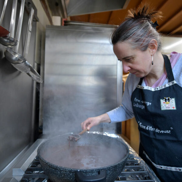 La Grange Flavigny sur Ozerain