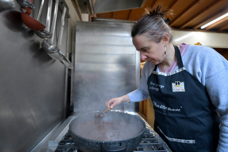 La Grange Flavigny sur Ozerain