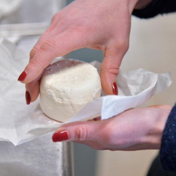 Ferme Auberge La Grange Flavigny