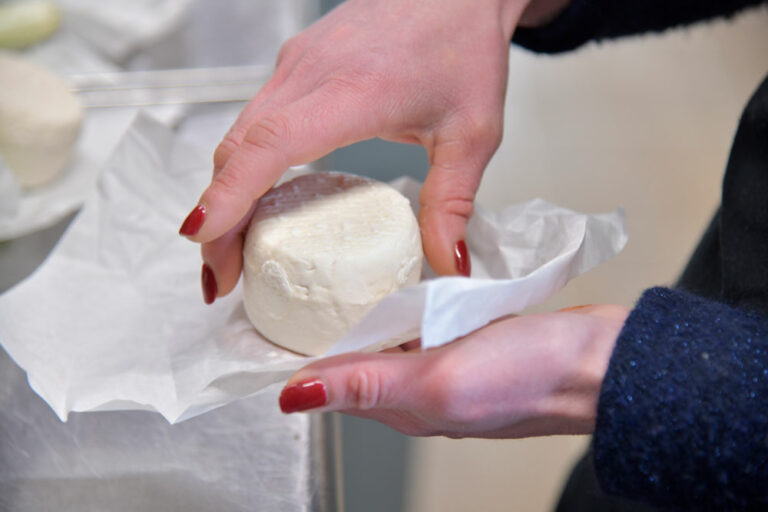 Ferme Auberge La Grange Flavigny