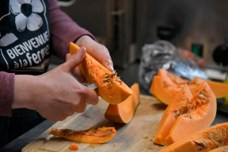 La Grange Flavigny sur Ozerain