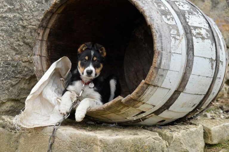 La Grange Flavigny sur Ozerain